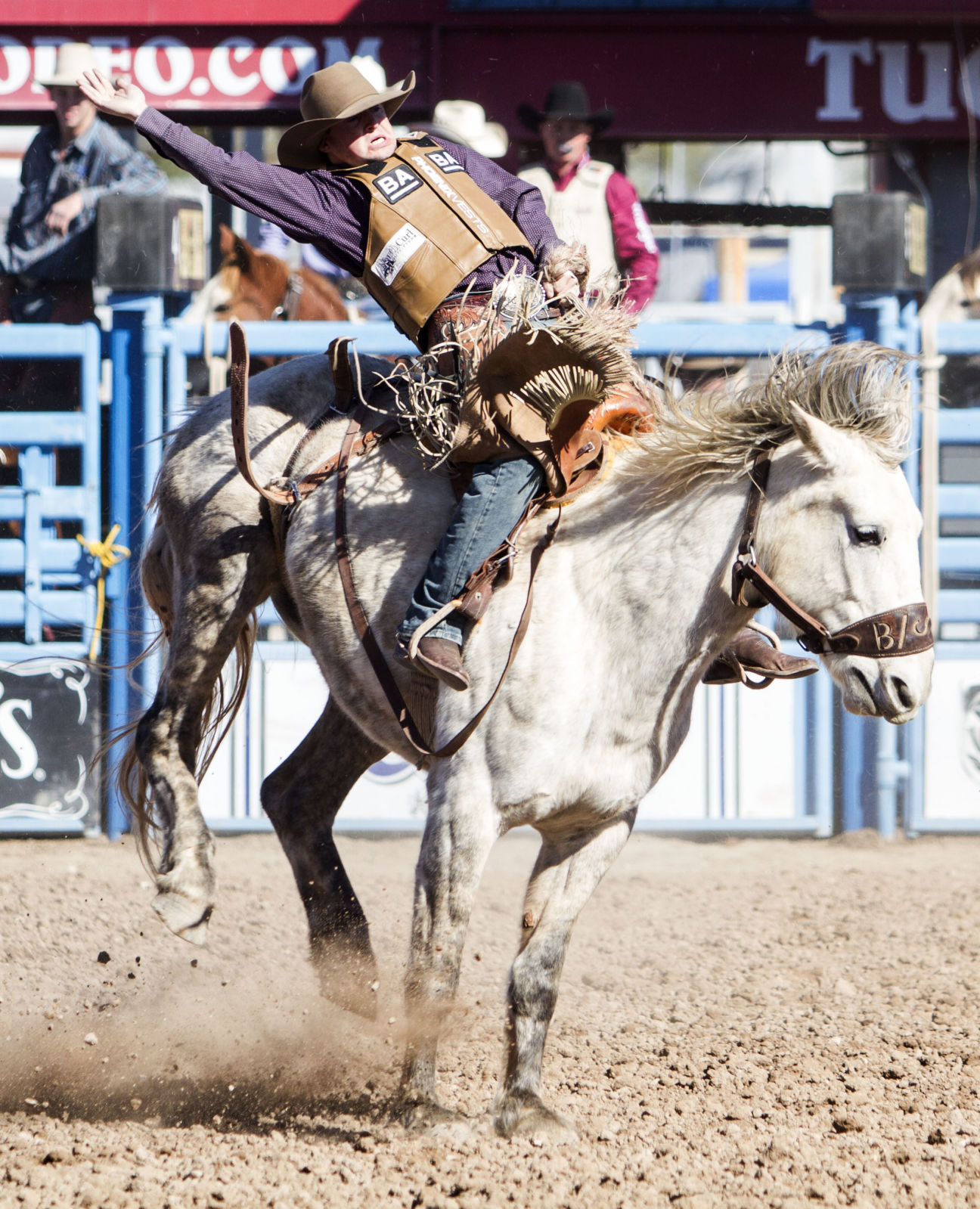 2018 Tucson Rodeo